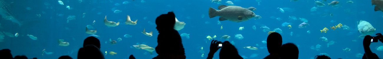 This is a generic image, it is NOT an image of A Lite Touch go-ohio.com Travel Info